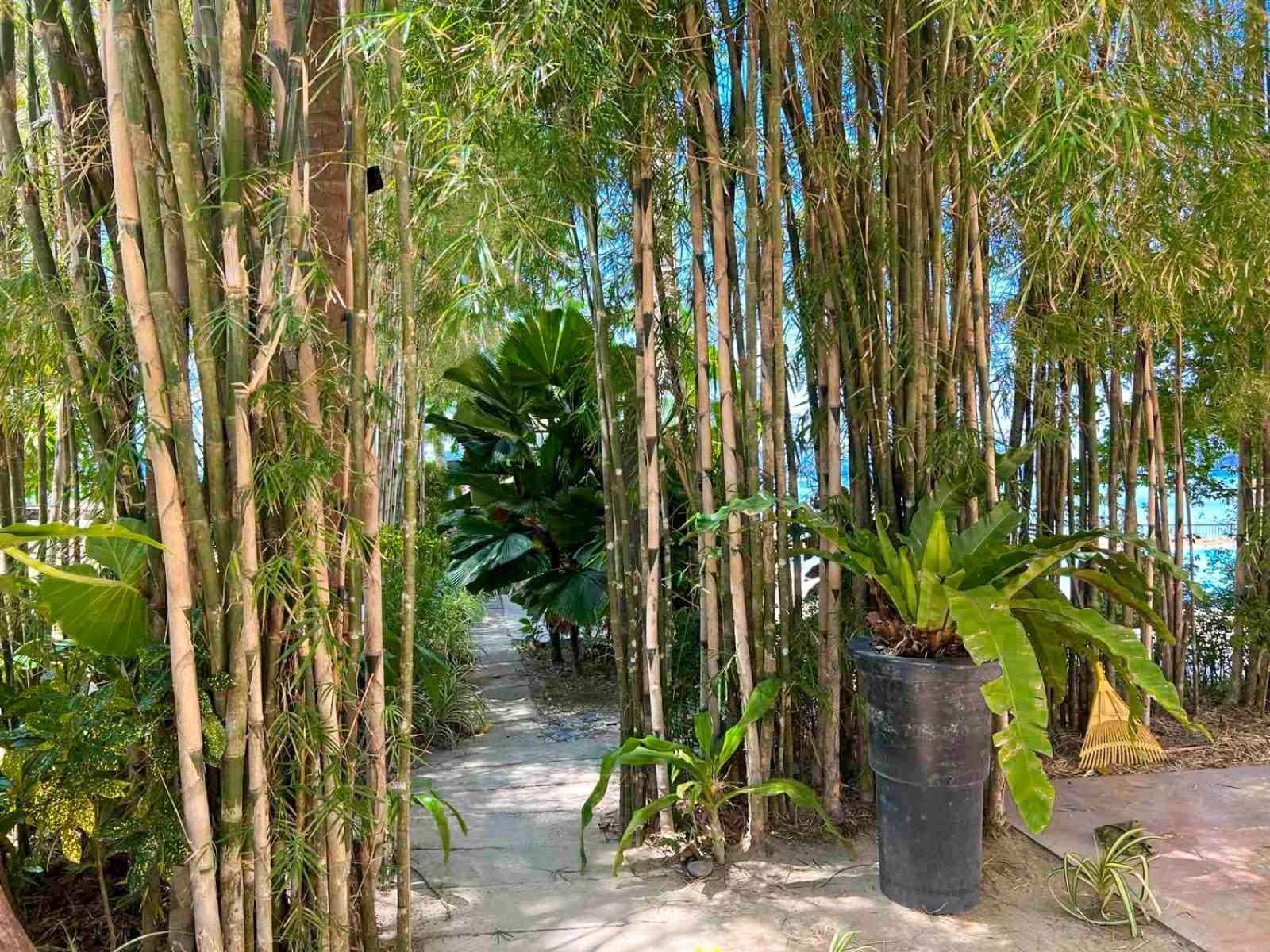 Doublegem Beach Resort And Hotel El Nido Buitenkant foto